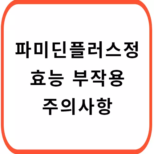 파미딘플러스정-썸네일