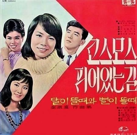 김상희---코스모스-피어있는-길