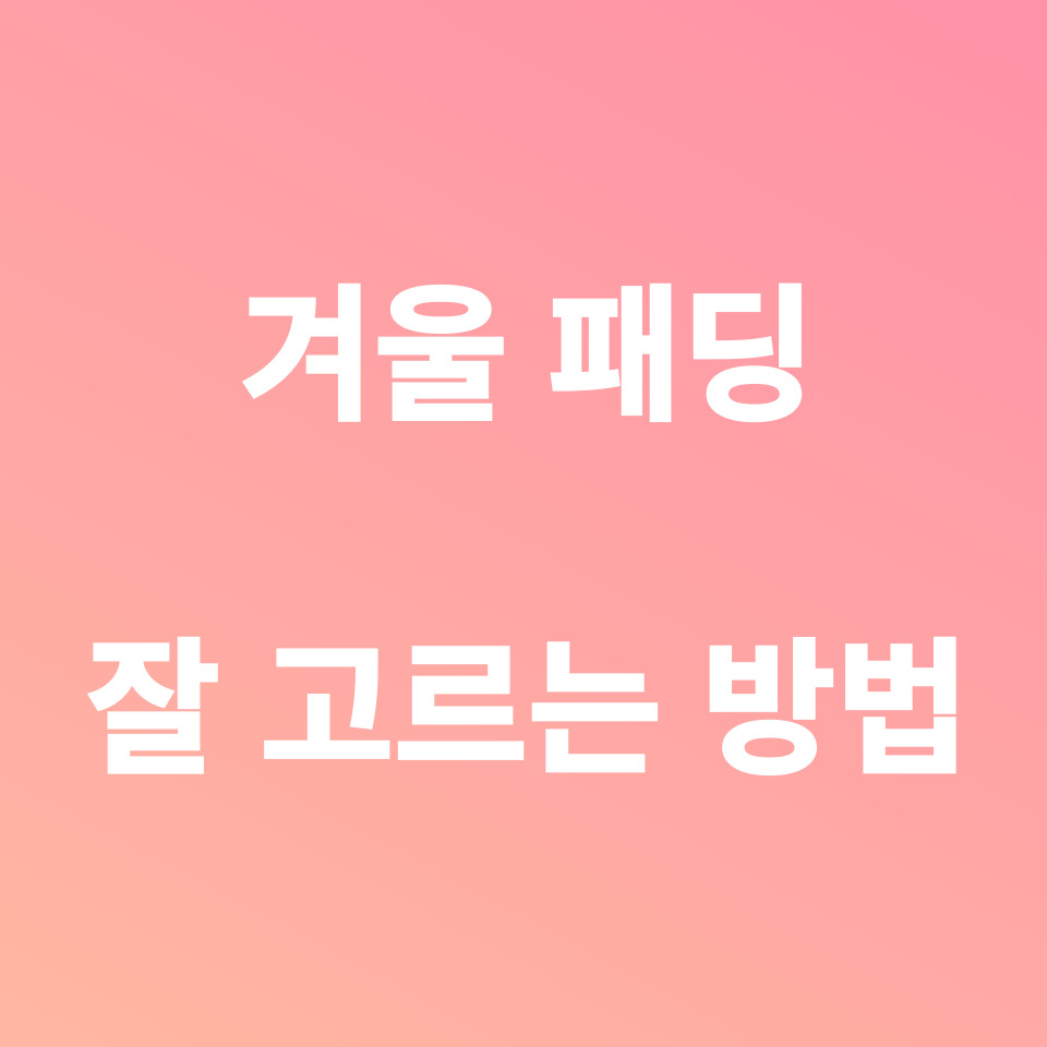 겨울 패딩 잘 고르는 방법