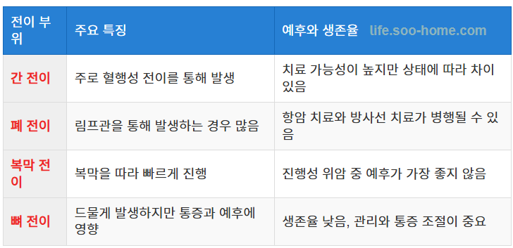 전이 부위별 생존율 개요