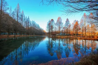 담양 맛집 베스트10 진짜 현지인만 아는곳_10