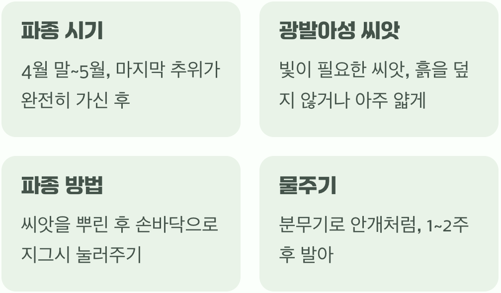먼지 같은 씨앗, 첫 숨을 위한 배려