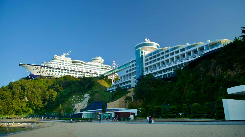 2025년 4월 국내 여행지 추천! 봄꽃과 함께 떠나는 최고의 여행지