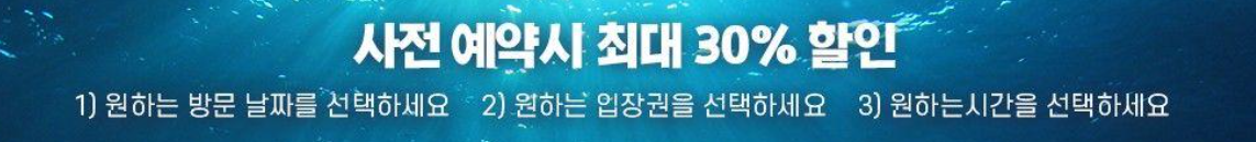 부산 아쿠아리움 최대 할인 방법 (최저가 입장료 구매)