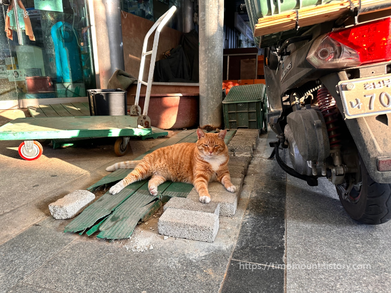 부여 롯데리조드 2박3일