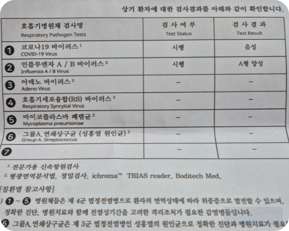 A형 독감