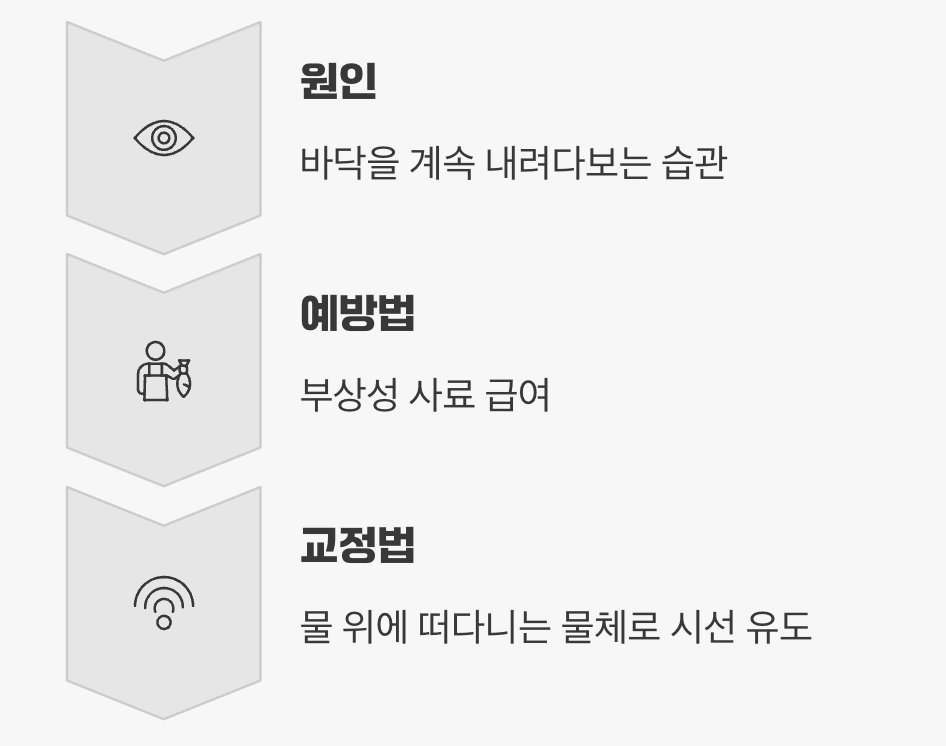 2. 안구하락 (눈 처짐 현상)