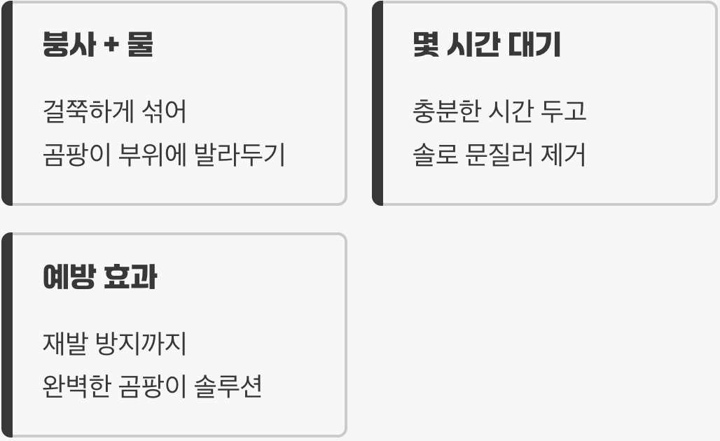 5. 끈질긴 곰팡이와 작별하는 법