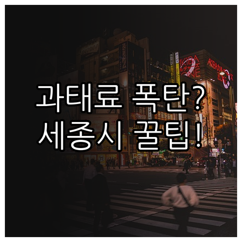 세종시 주정차 단속 문자 서비스 신청..