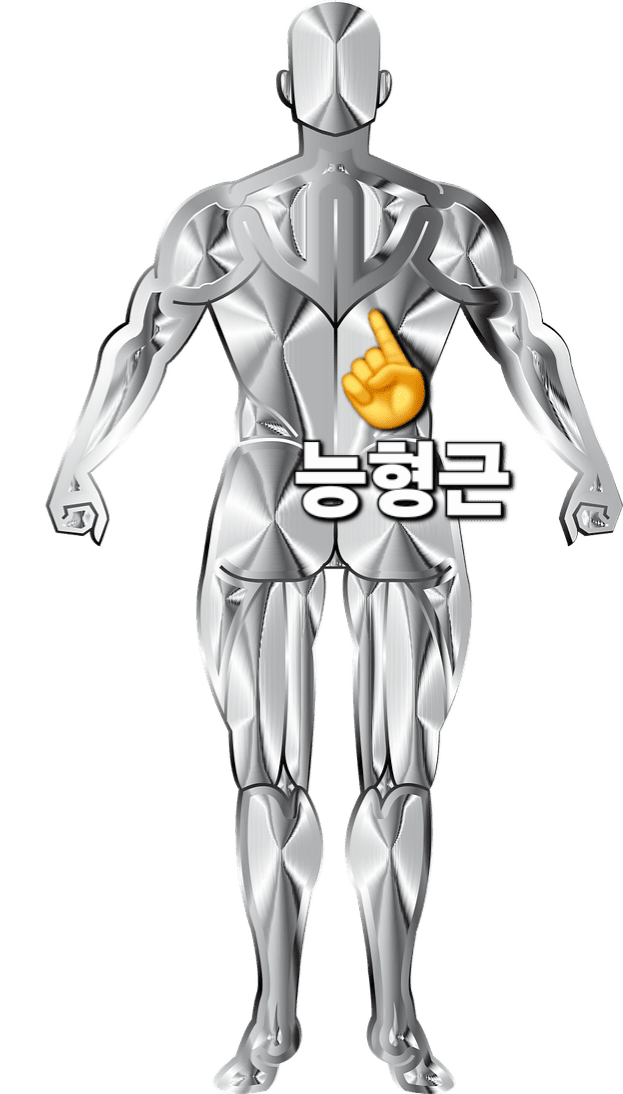 오른쪽-날개뼈-아래-등-통증,-결림부터-저림·찌릿함까지…-한의원에서-상담을-받았더니,-한의사님께서는-능형근-부위에-통증이-있다는-것을-확인해-주셨습니다.-단순한-담일-수도-있고,-목디스크로-인한-방사통일-가능성도-있다고-하시더라고요.-특히-장시간-앉아-있거나-자세가-흐트러졌을-때,-혹은-잠을-잘못-잤을-때-이런-통증이-자주-나타난다고-설명해주셨어요.