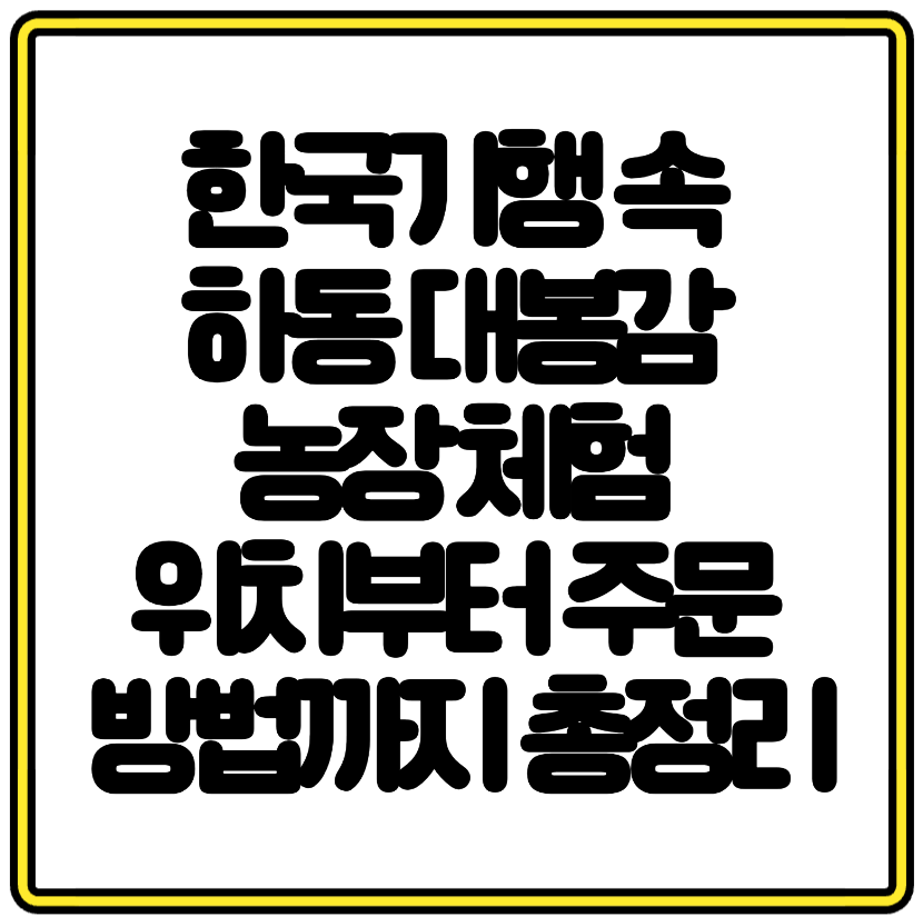 한국기행 속 하동 대봉감 농장 체험 위치부터 주문 방법까지 총정리