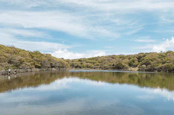 제주도 여행 가을 겨울 가볼만한 곳 오름 추천 입장료 소요시간 반려동물 동반