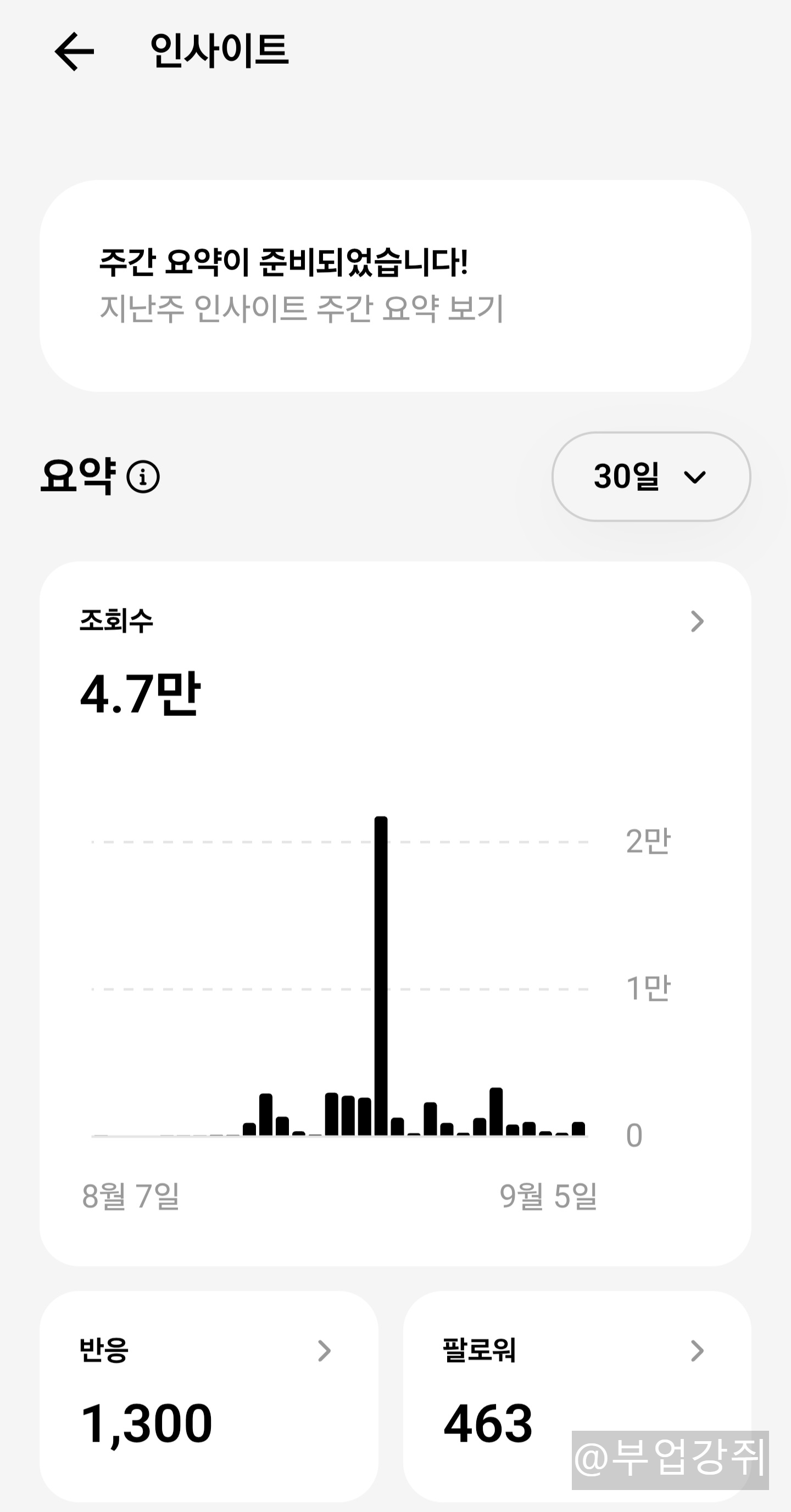 스레드 인사이트