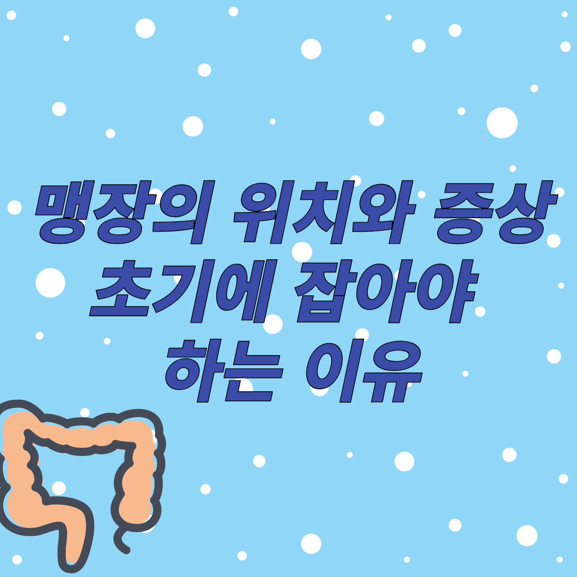맹장의 위치과 증상