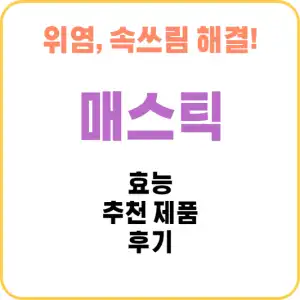 매스틱 효능