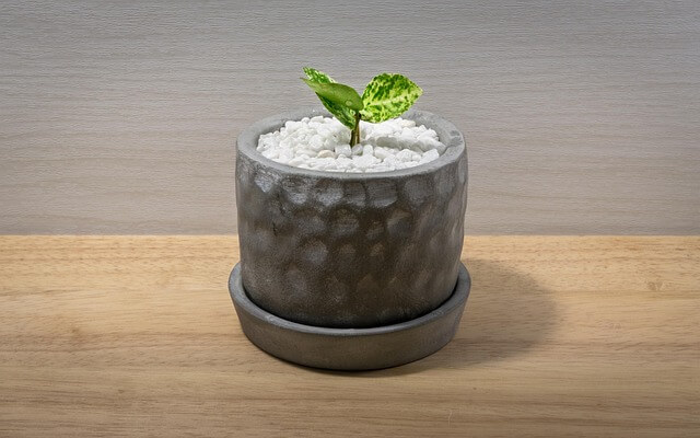 테라리움 키트와 식물 선택 가이드