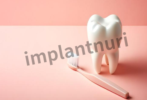 덴티스 임플란트 가격