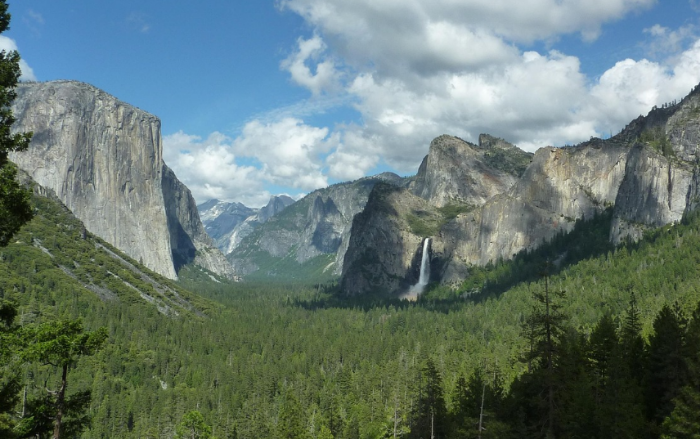 요세미티 국립공원 사진