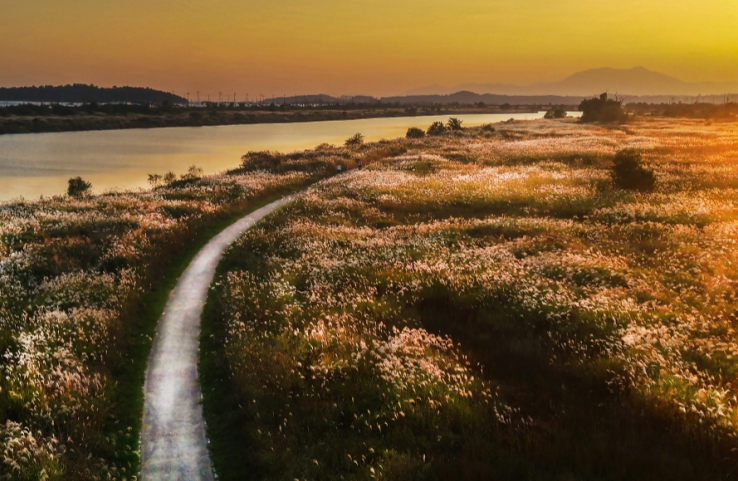 가을 억새, 단풍 산행지 추천