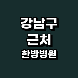 서울 강남구 한방병원