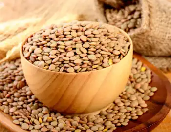 렌틸콩 효능 및 영양성분, 주의점