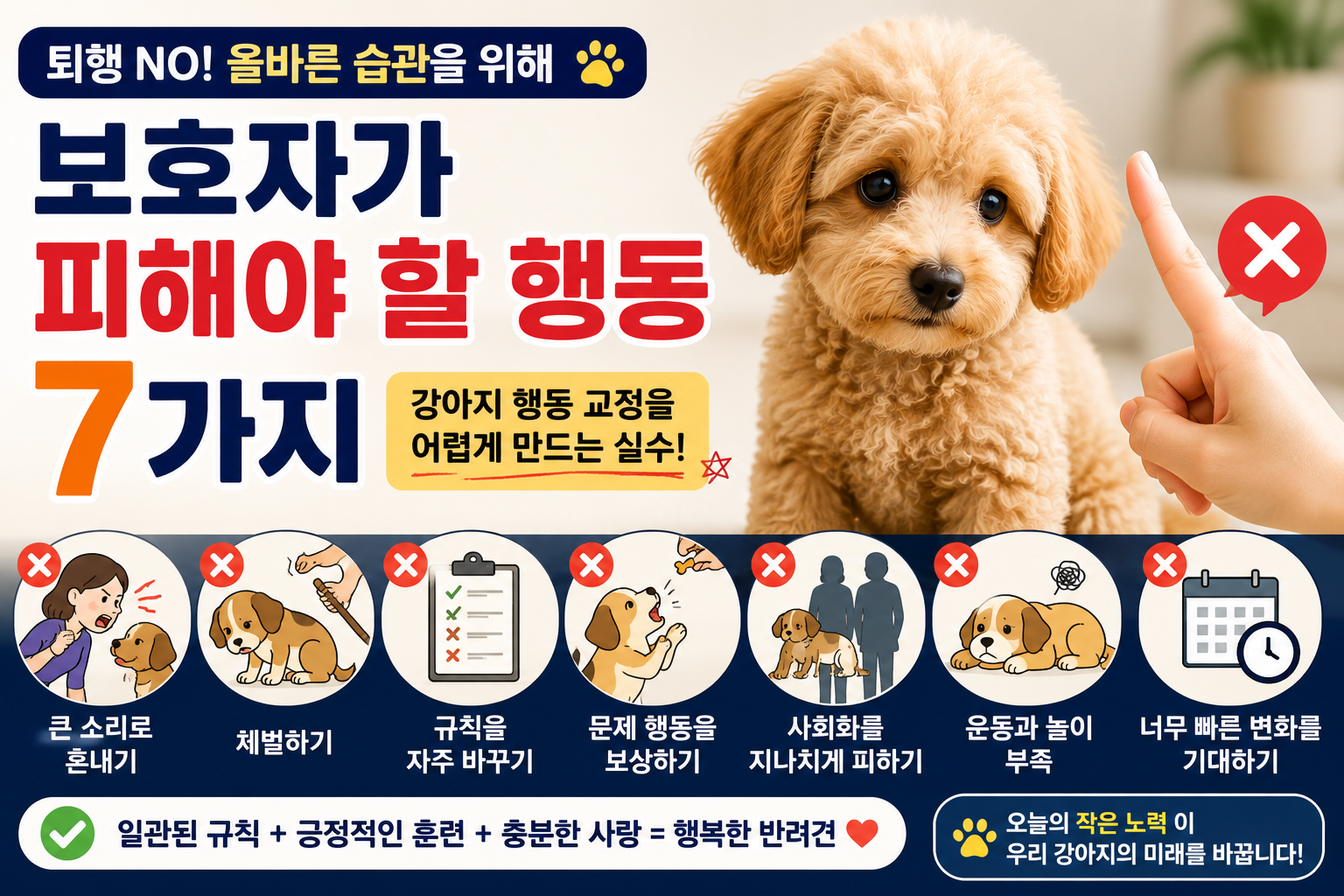 보호자가 피해야 할 행동 7가지|강아지 행동 교정을 어렵게 만드는 실수