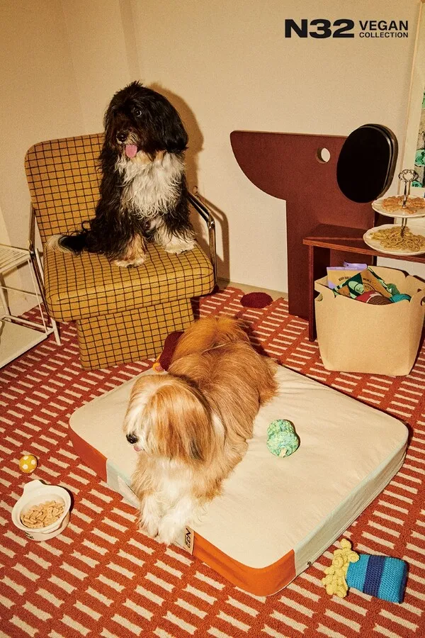 시몬스 N32 쪼꼬미 펫 매트리스 출시! [강아지 고양이 매트리스 집 침대 특징 &middot; 사이즈 &middot; 크기 &middot; 구매처]