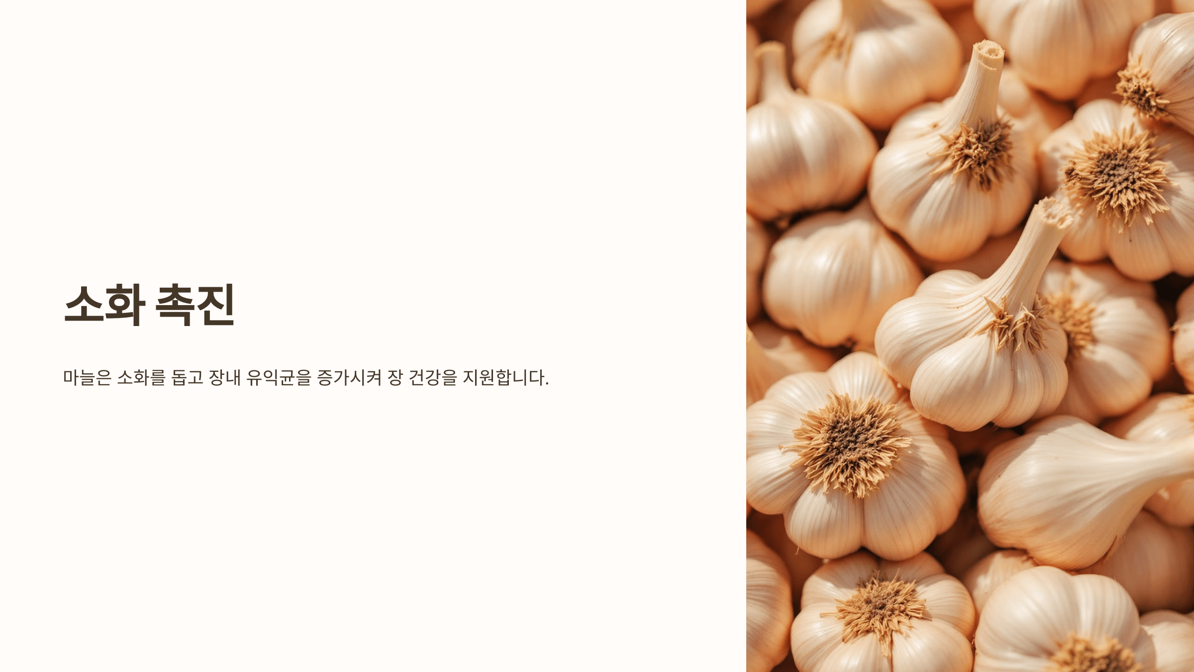 마늘 사진입니다.