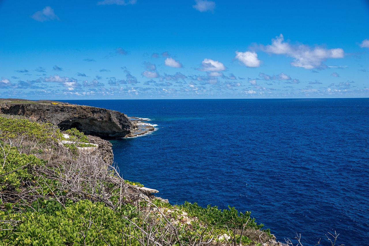 사이판 아이와 함께 즐기는 마나가하 섬, 마이크로 비치, 해양 체험 여행