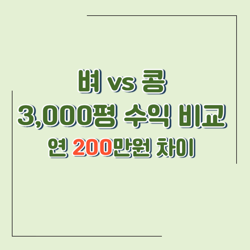 벼 대신 콩 심으면 수익 얼마나 차이날까?｜논 3,000평 기준 실제 계산