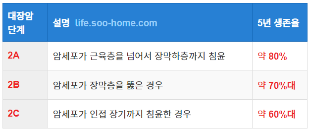 단계별 대장암 2기의 생존율 비교