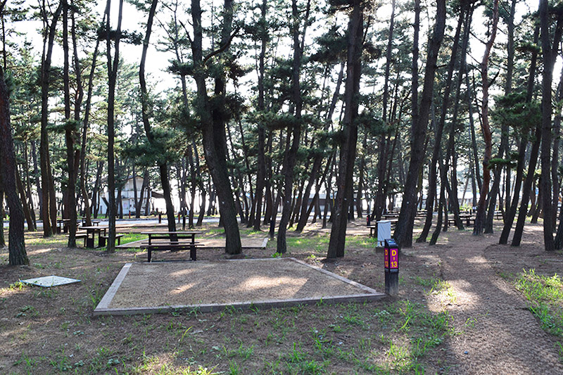 충청남도 태안군 몽산포 자동차야영장