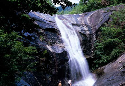 금산 자연휴양림 캠핑장 정보(위치&amp;#44; 캠핑장 특징&amp;#44; 주변 관광지)