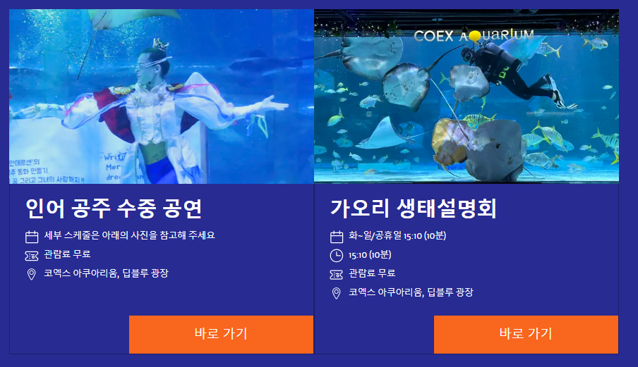 코엑스 아쿠아리움 할인 총정리: 가장 저렴하게 즐기는 방법