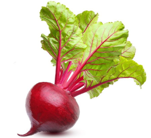 비트 효능 및 부작용 먹는방법~