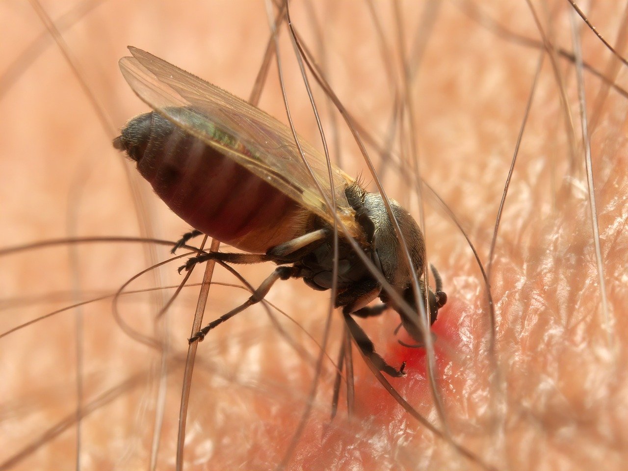 곤충이나 야생동물 대응법을 준비하세요