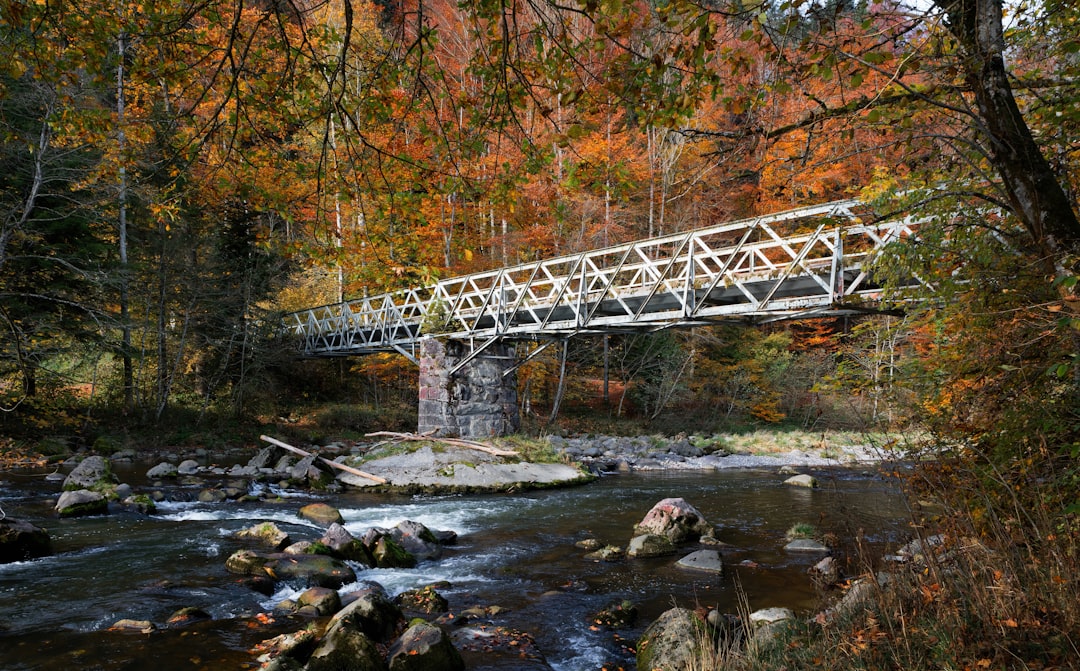 Bridge