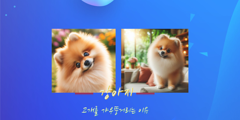 강아지가 고개를 갸우뚱거리는 이유