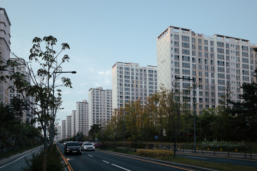 세종 코스트코 할인: 스마트한 쇼핑을 위한 필수 가이드 관련 이미지 2