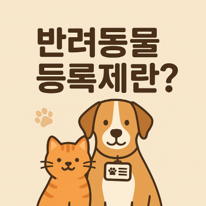 반려동물 등록제 완벽 가이드
