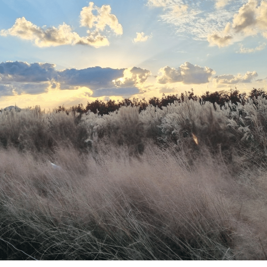 바람 따라, 마음 따라 친구들과 떠나는 감성 드라이브