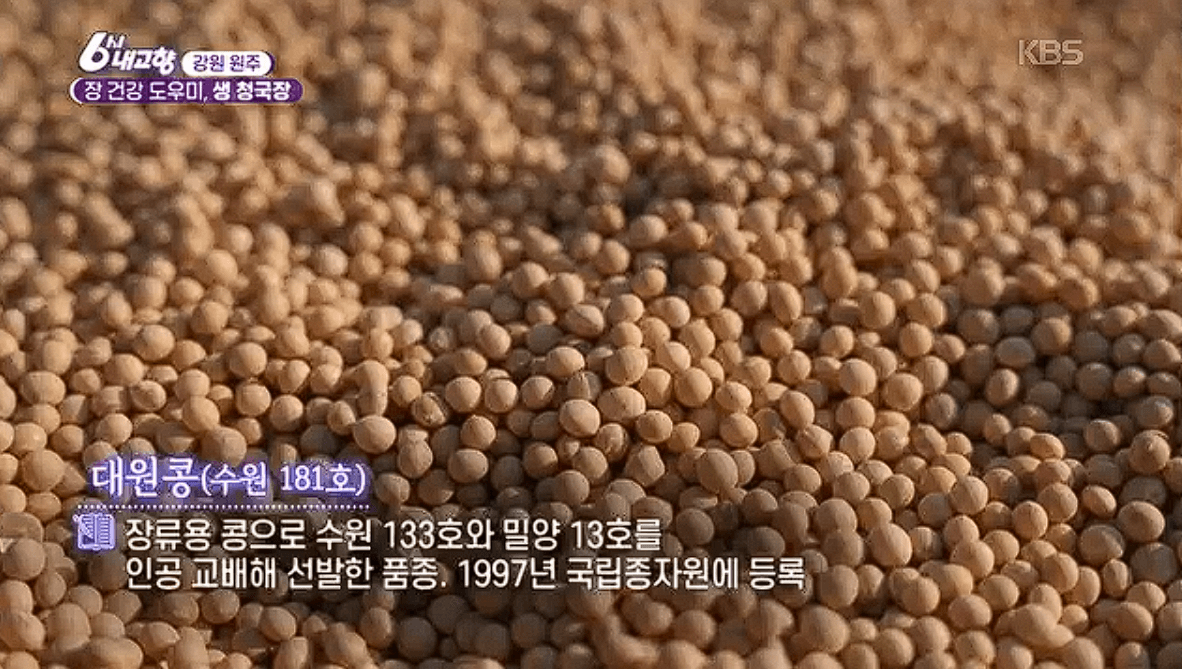 강원 원주 ‘생 청국장’ 전통 발효원
