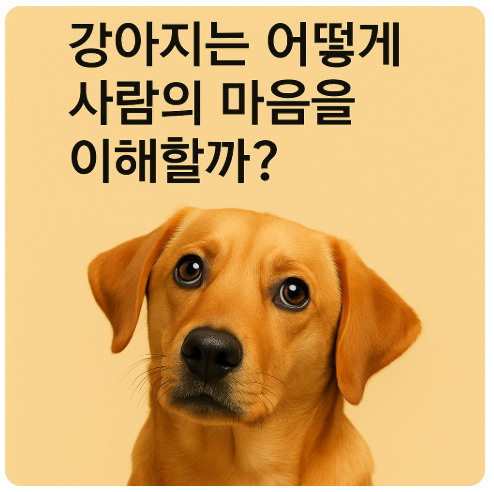 강아지 개는 사람의 마음을 어떻게 이해하고 움직일까? 후각 청각 표정