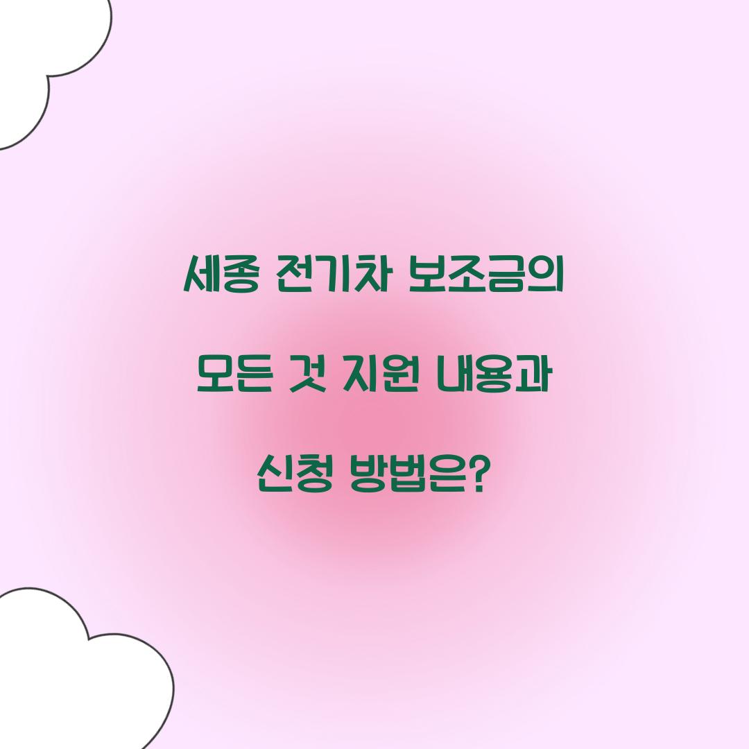 세종 전기차 보조금