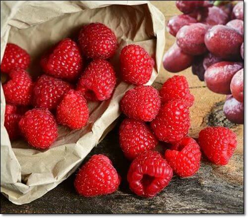 프테로스틸벤 효능 7가지