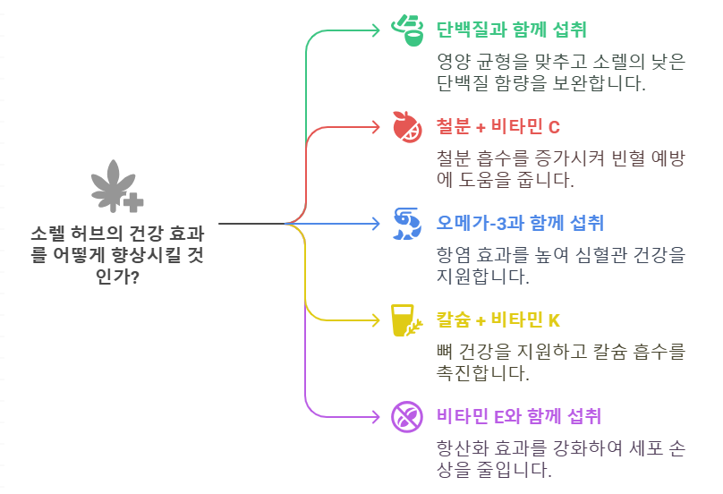 소렐 허브와 함께 섭취하면 좋은 영양소