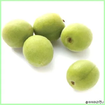 매실 수확시기_3