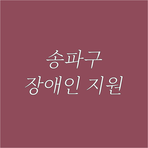 송파구 2025 장애인 지원 확대! ..