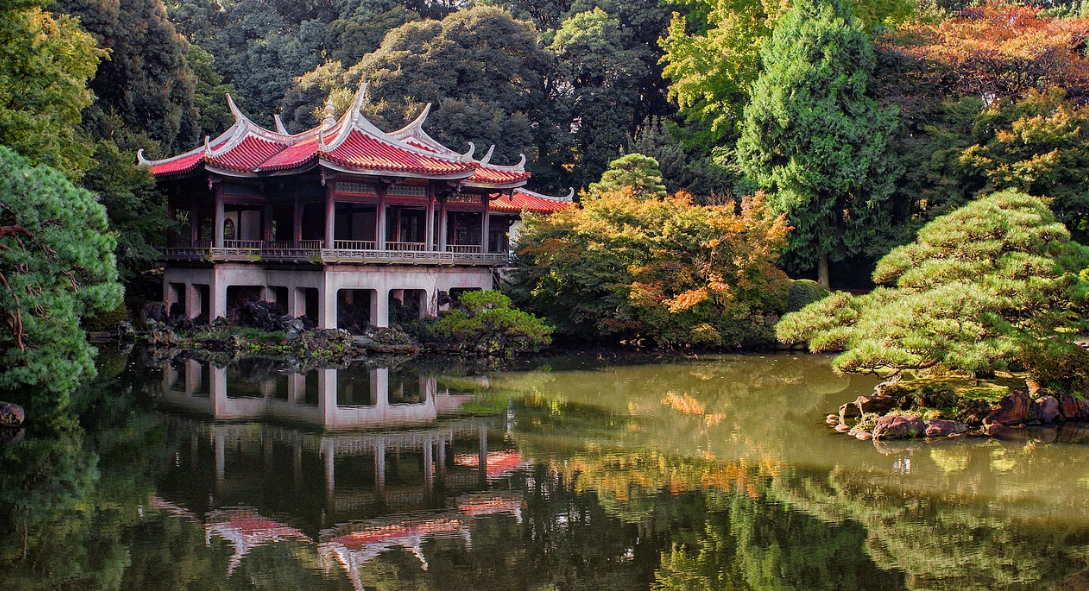 도쿄 한복판, 무료로 즐기는 조용한 신사와 정원 추천