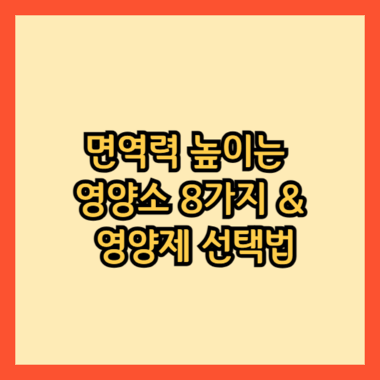 면역력 -높이는-영양소